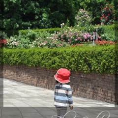 プラスアルトラ　レッスン