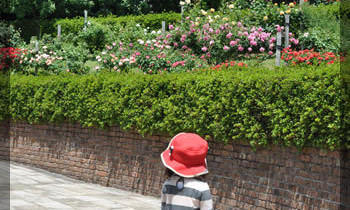 プラスアルトラ　レッスン