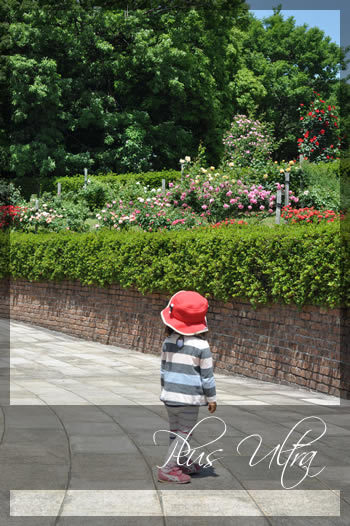 プラスアルトラ　レッスン