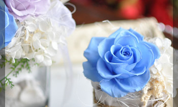 プリザ　プリザーブドフラワー　白　ブルー　夏アレンジ　貝