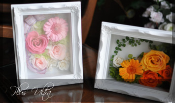 プリザ　プリザーブドフラワー 額　フレーム