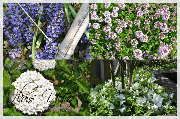 静岡県富士宮市 富士市 プリザーブドフラワー 造花 仏花 手作りウェディングブーケ教室 フラワーアレンジメントスクール Plus Ultra(プラスアルトラ)