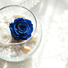 プリザーブドフラワー　造花　レッスン　夏　サマー　貝　ガラス　涼しげ　ブルー