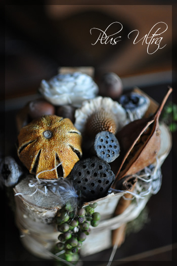 ハロウィン　ドライ　プリザ　プリザーブドフラワー　プレゼント　可愛い　手づくり　シック　大人