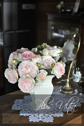 庭のつる薔薇ピエールドゥロンサール