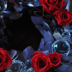 ユーカリリース