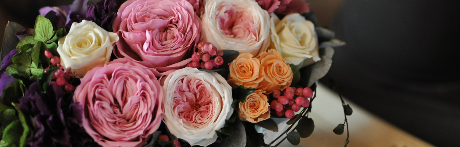 プラスアルトラについて