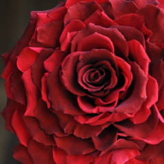 ブライダルブーケコース（全9単位）