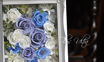 プリザ　プリザーブドフラワー 　フォトフレーム　白ブルー　開店祝い　プレゼント